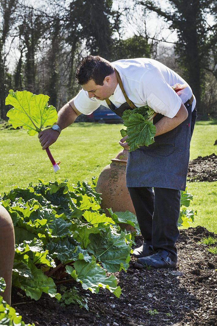A cook checking the garden