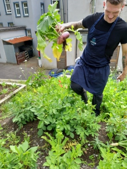 Kitchen garden