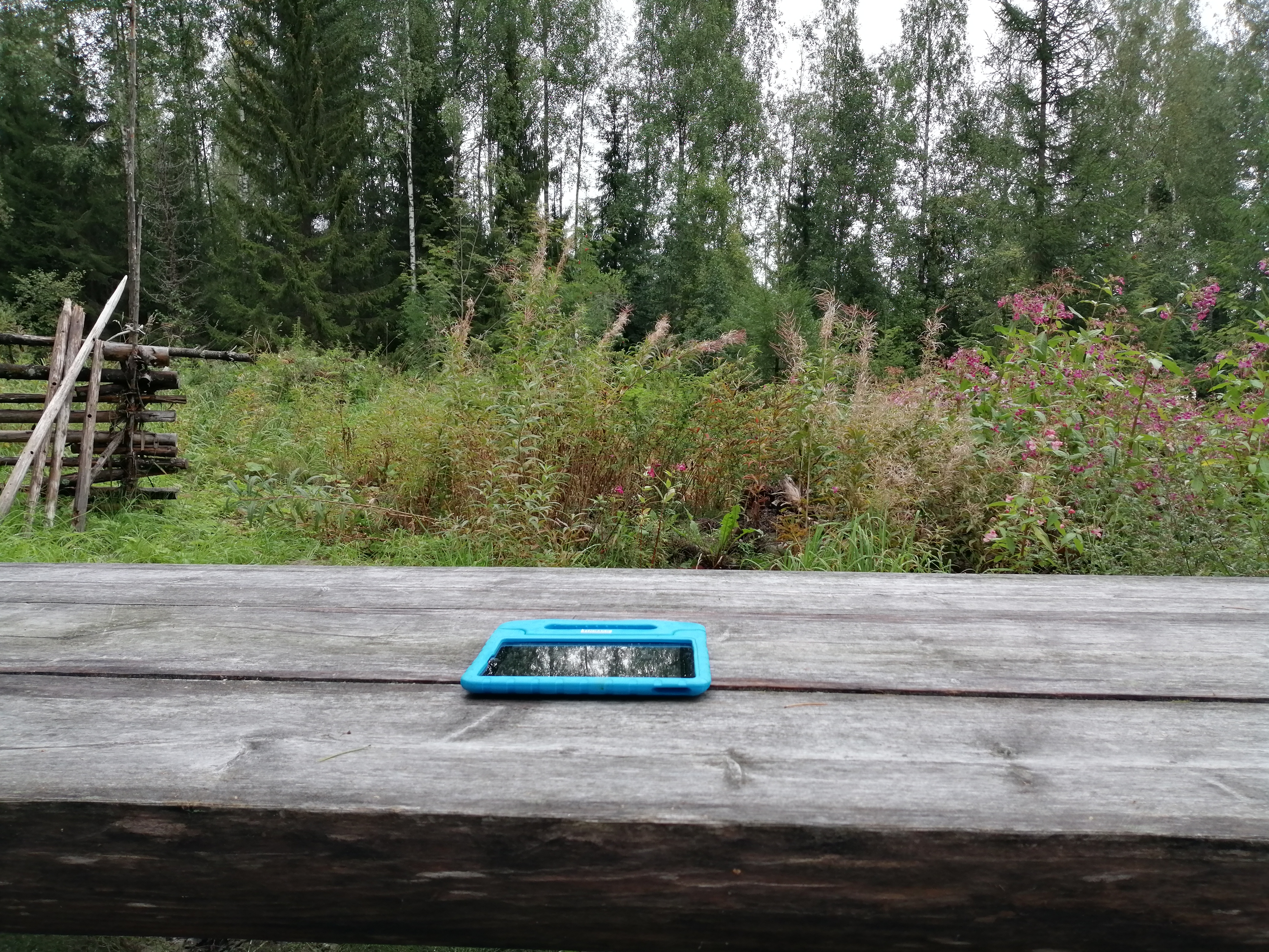 Puisella pöydällä sininen älylaita ja taustalla metsäinen maisema.