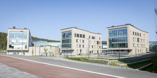 Aurinkoinen kesäpäivä ja kuvattuna on kolme isoa Savon ammattiopiston kampusrakennusta.