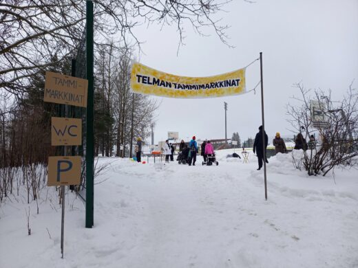 Telman tammimarkkinat