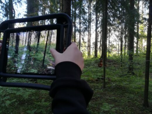 Luonnon ihmettelyä ja lounasta
