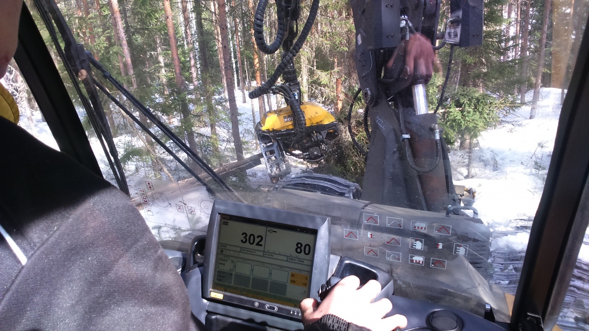 Tehokas puuhuolto – haaste myös koulutukselle