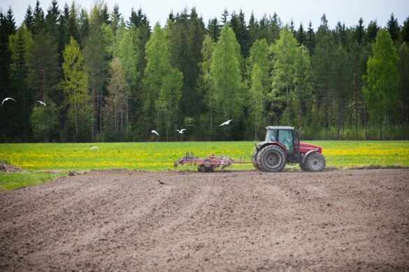 Luomuosaamisen ja -opetuksen nykytila on selvitetty