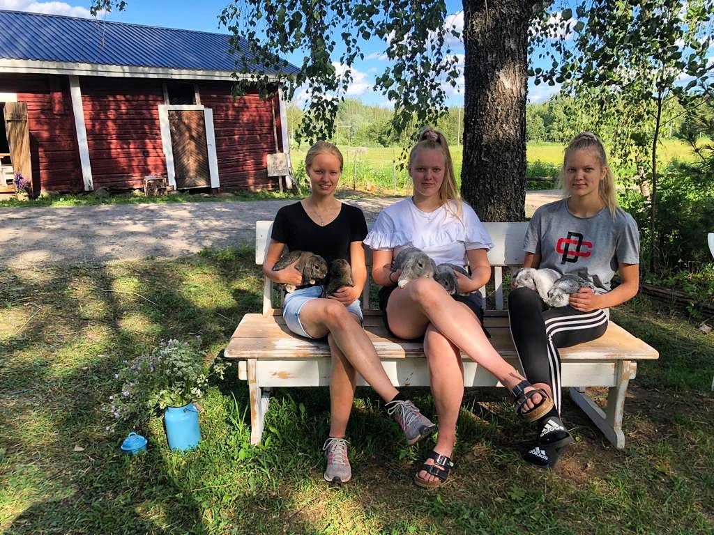 Nuorta yrittäjyyttä