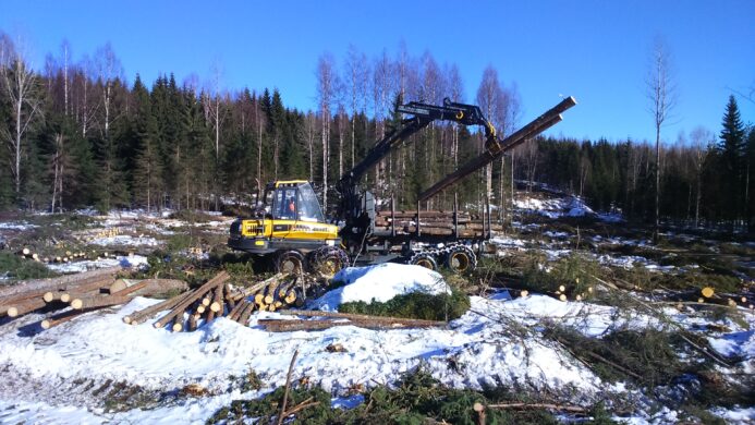 Tehokas puuhuolto – haaste myös koulutukselle