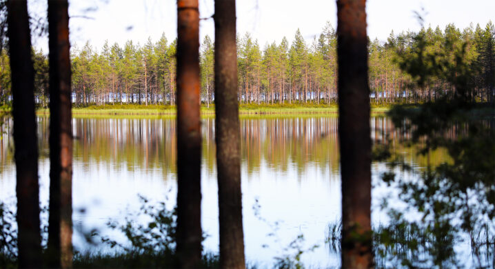 Haasteiden kautta eteenpäin elämässä