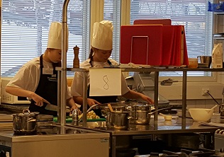 Taitavat Osaajat 9 vuosimallia 2016