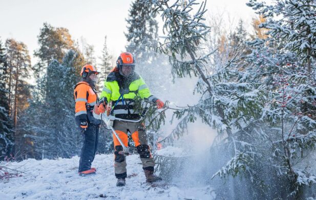 Raivaussahalla kaadetaan puuta. Lumi pöllyää.