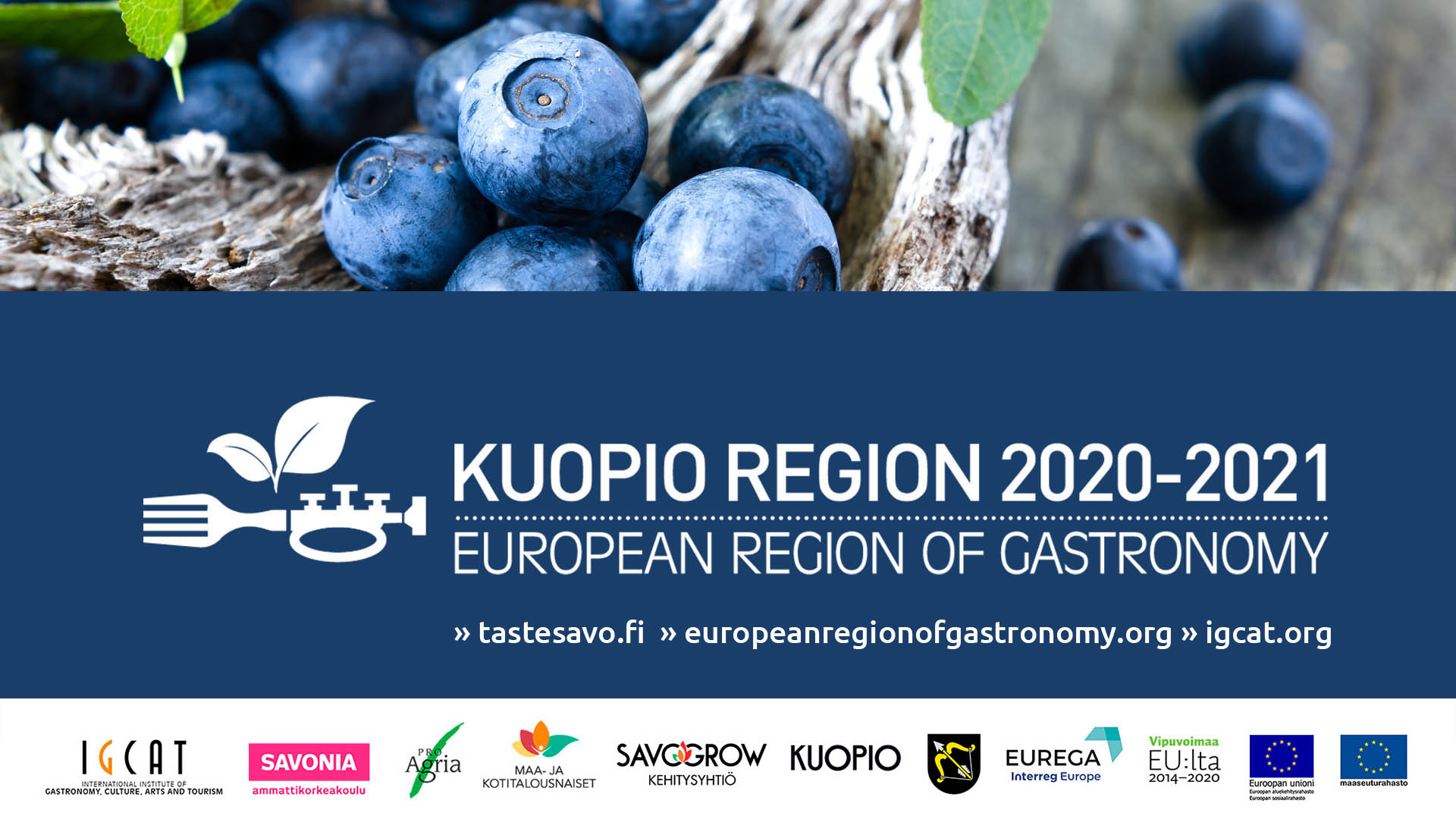 Kuvassa on mustikoita rahoittajan logot ja Kuopio Region teksti.