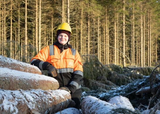Opiskelija metsähakkuutyömaalla.
