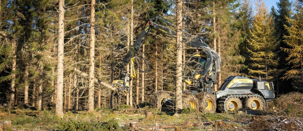 Metsäkone kaataa puita.