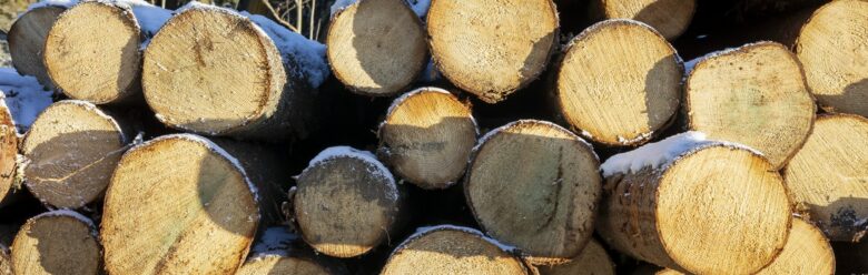 Savon ammattiopisto kehittää energiapuun korjuuta 1,5 miljoonalla eurolla (ERPU)
