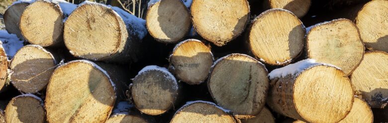 Savon ammattiopisto kehittää energiapuun korjuuta 1,5 miljoonalla eurolla